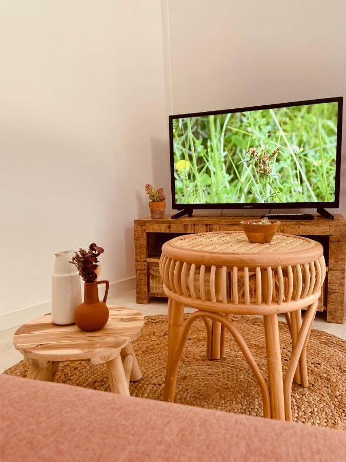 Renard, Style Boheme Et Atypique, Curistes Apartment Luxeuil-les-Bains