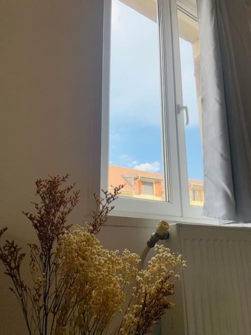 Apartment Renard, Style Boheme Et Atypique, Curistes