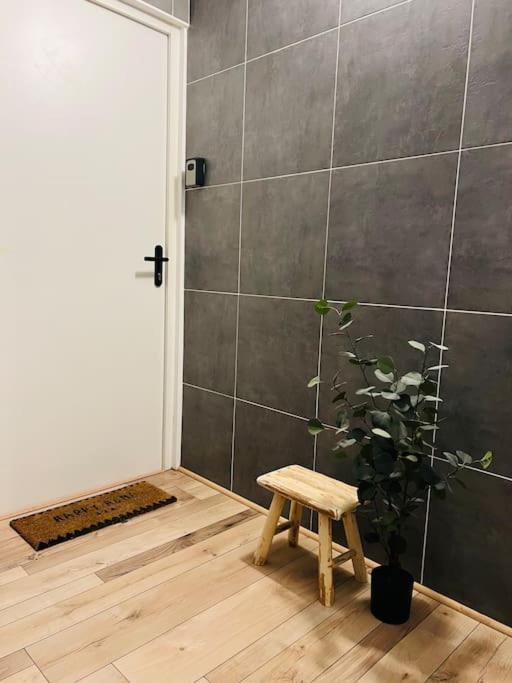 Renard, Style Bohème Et Atypique, Curistes Appartement *